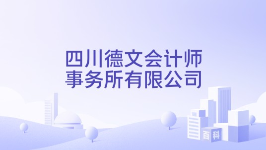 四川德文会计师事务所有限公司