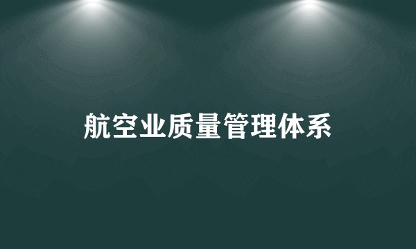 航空业质量管理体系