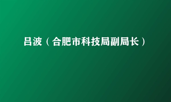 吕波（合肥市科技局副局长）