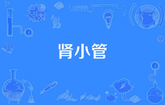 肾小管