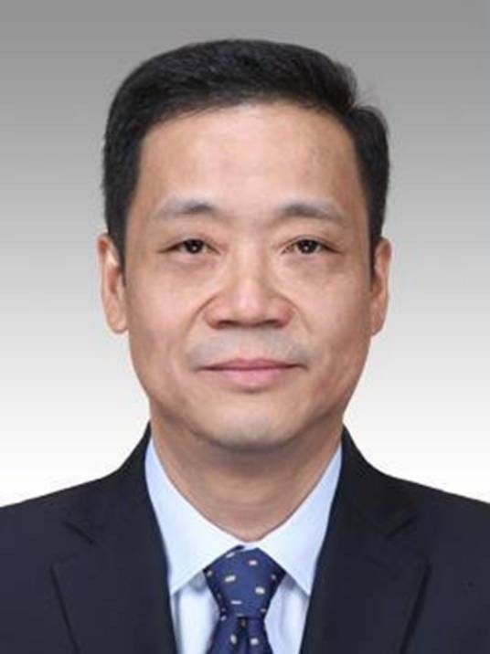 刘平（上海市奉贤区委书记、奉贤区人民武装部党委第一书记）