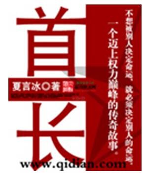 首长（夏言冰创作的官场沉浮类网络小说）