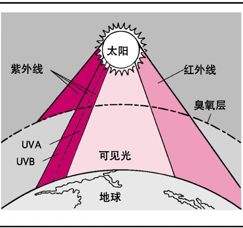 光敏反应