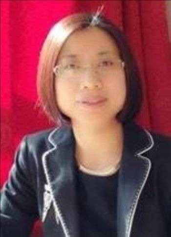 丁玮（中国大连工业大学教授）
