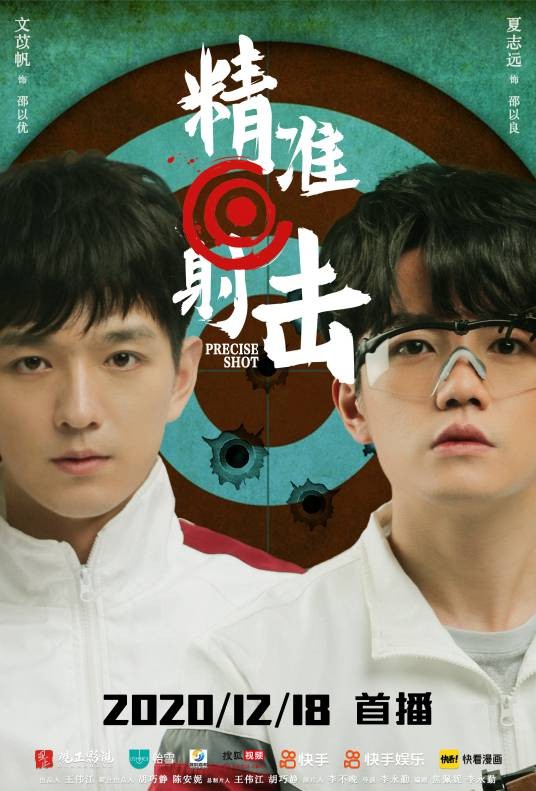 精准射击（2020年李永勤执导的电视剧）