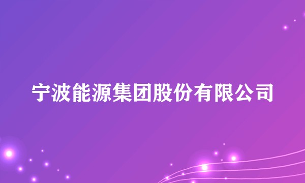 宁波能源集团股份有限公司