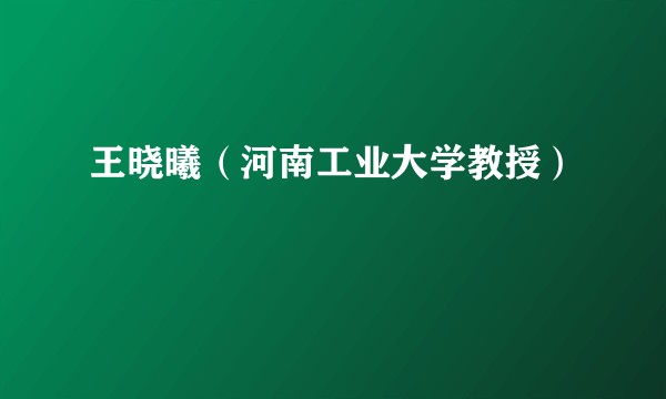 王晓曦（河南工业大学教授）