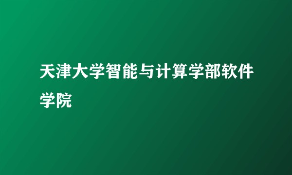 天津大学智能与计算学部软件学院