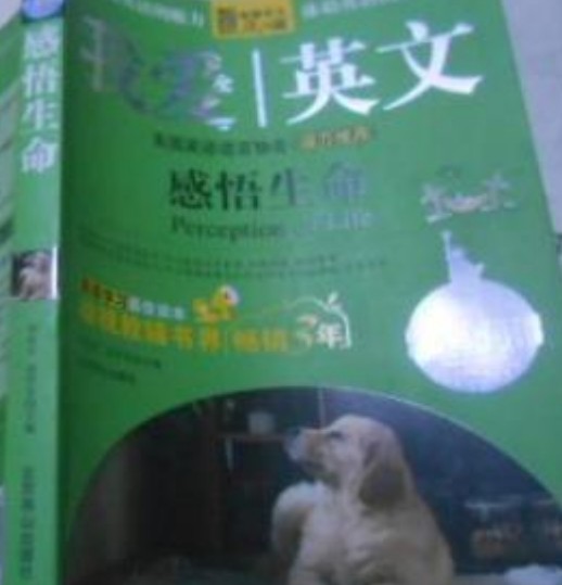 我爱英文：感悟生活