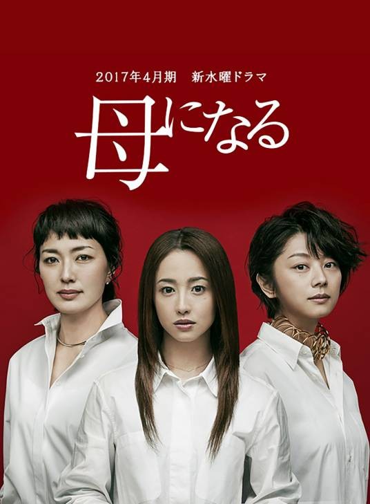 成为母亲（日本2017年泽尻英龙华主演电视剧）
