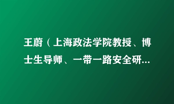 王蔚(上海政法学院教授、博士生导师、一带一路安全研究院院长,上海工商外国语职业学院副院长)