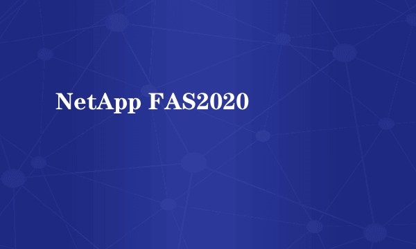 NetApp FAS2020