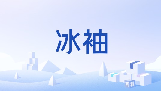 冰袖（一种防晒袖套）