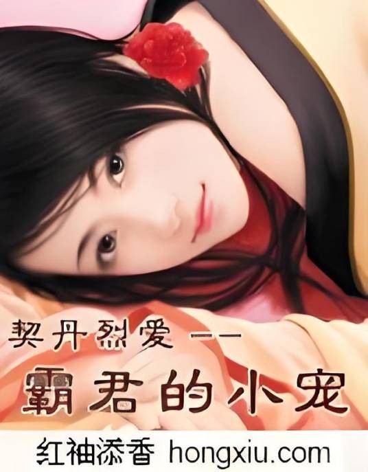 虐恋:契丹小倔奴