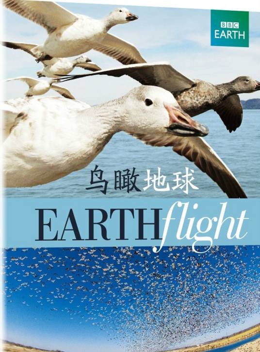 鸟瞰地球（2011年英国约翰·唐纳执导的自然类纪录片）