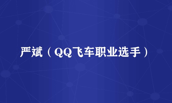 严斌(QQ飞车职业选手)