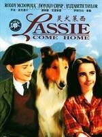 灵犬莱西（美国1943年弗雷德·威尔科克斯执导的电影）