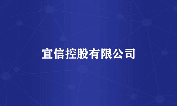 宜信控股有限公司