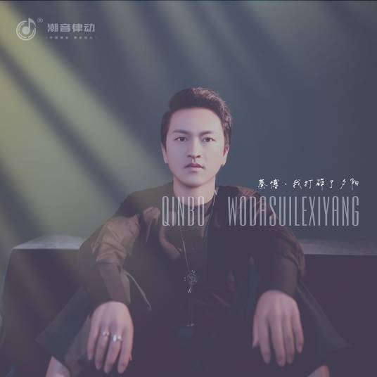 我打碎了夕阳（秦博2022年演唱的单曲）