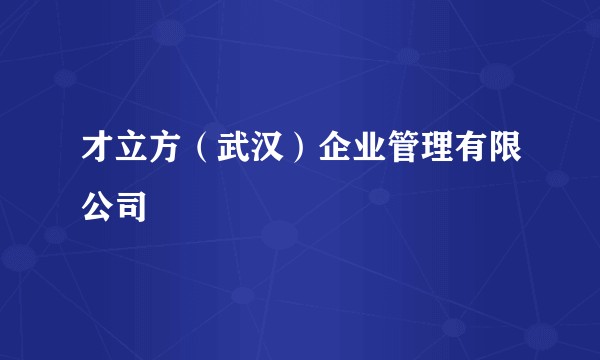 才立方（武汉）企业管理有限公司