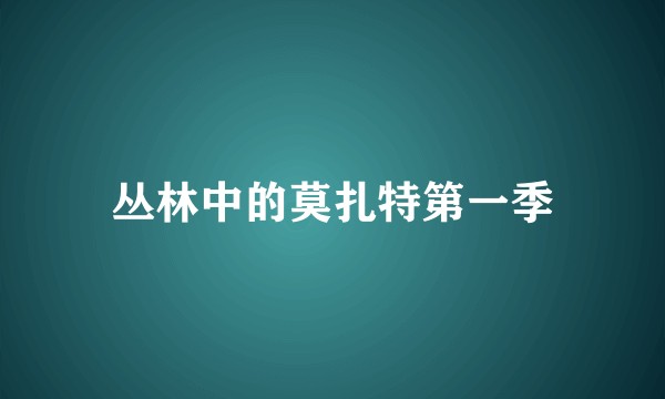 丛林中的莫扎特第一季