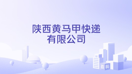 陕西黄马甲快递有限公司