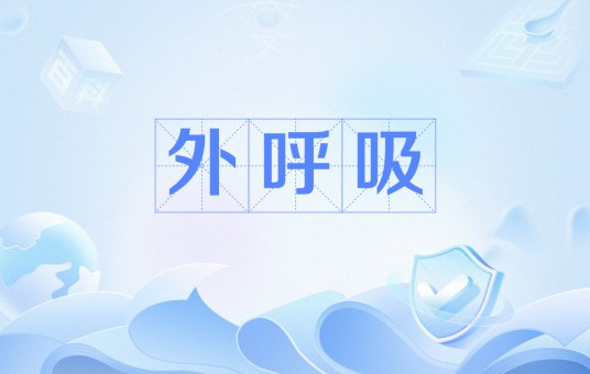 外呼吸