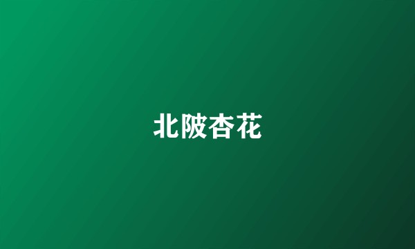 北陂杏花