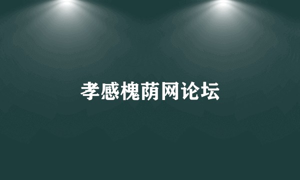 孝感槐荫网论坛