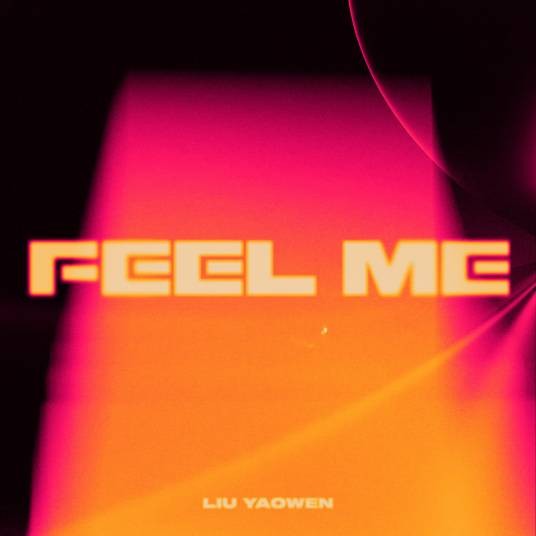 Feel Me（刘耀文演唱的歌曲）