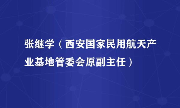 张继学（西安国家民用航天产业基地管委会原副主任）
