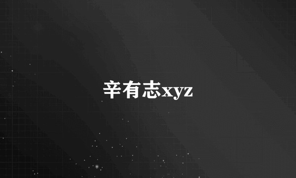 辛有志xyz