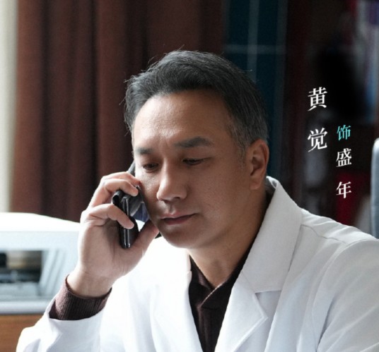 盛年(电视剧《问心2》中的角色)