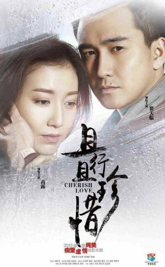 且行且珍惜（2014年谢律执导的电视剧）