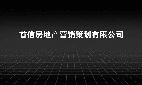 首信房地产营销策划有限公司