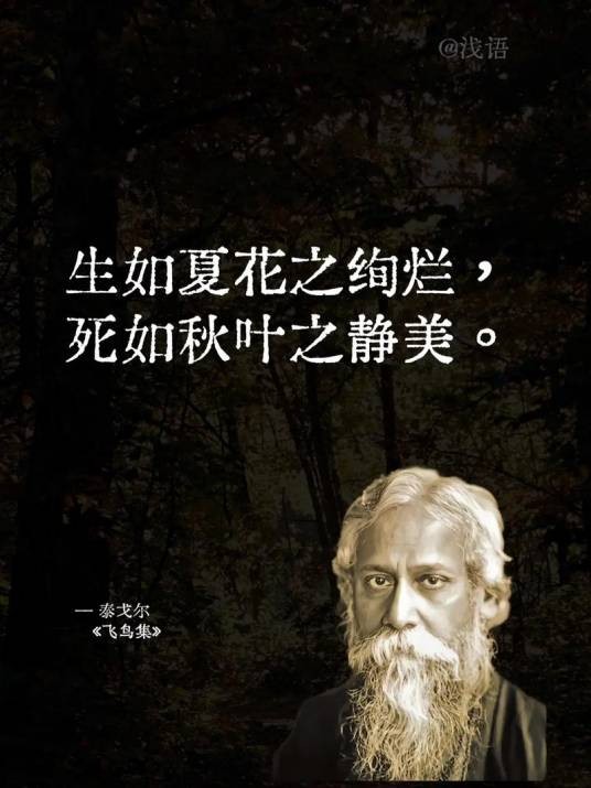 世界以痛吻我，要我报之以歌（印度诗人泰戈尔在诗集《飞鸟集》中的名言）