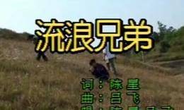 流浪兄弟（赵牧阳、陈星等演唱的歌曲）