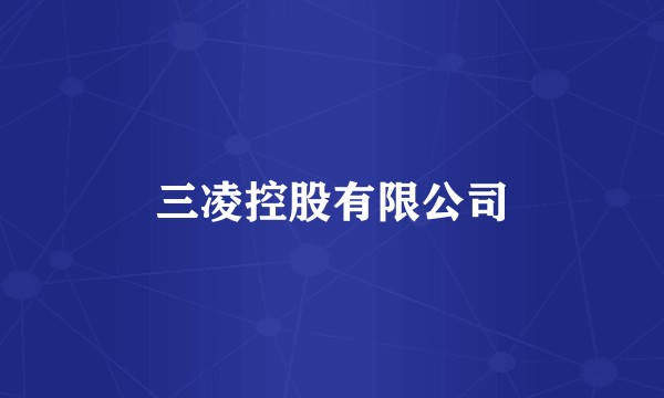 三凌控股有限公司