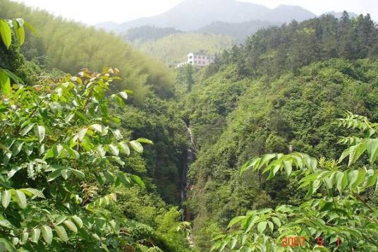 绿杨乡