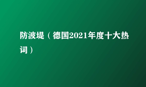 防波堤（德国2021年度十大热词）