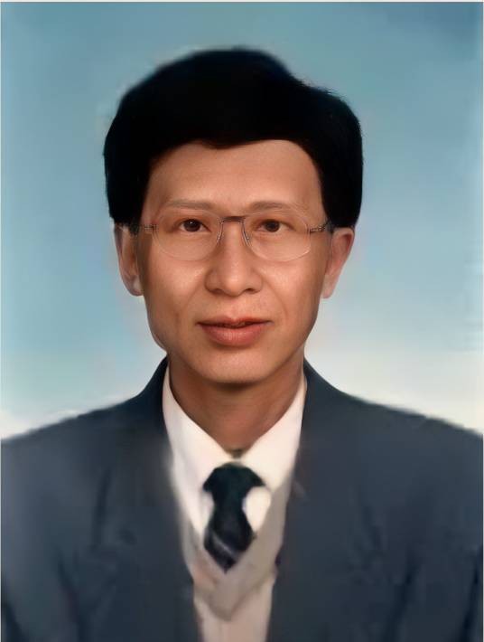 阎石(清华大学教授)