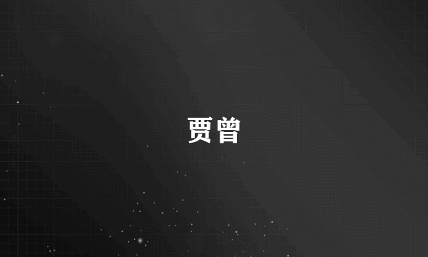 贾曾