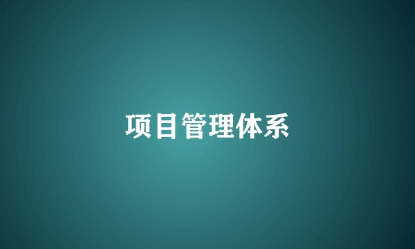 项目管理体系