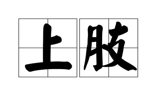 上肢