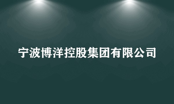 宁波博洋控股集团有限公司