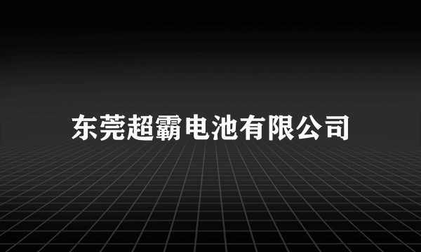 东莞超霸电池有限公司