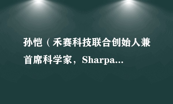 孙恺(禾赛科技联合创始人兼首席科学家,Sharpa联合创始人)