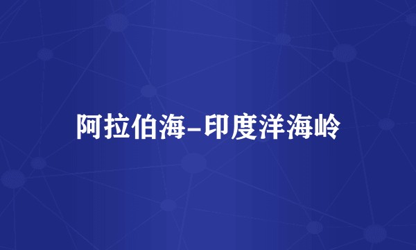 阿拉伯海-印度洋海岭