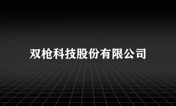 双枪科技股份有限公司