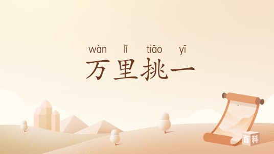 万里挑一（汉语词汇）